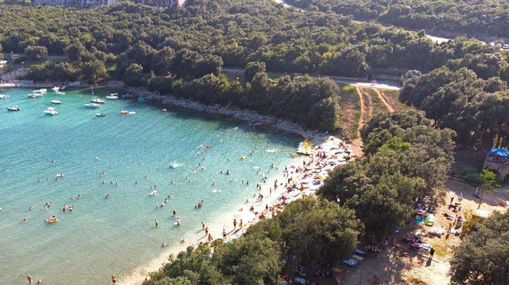 Holiday Home Elvis, Village Kujici Hreljići المظهر الخارجي الصورة